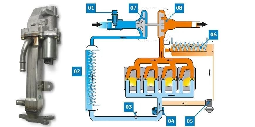 Objawy uszkodzonej chłodnicy spalin 2.0 TDI, które musisz znać